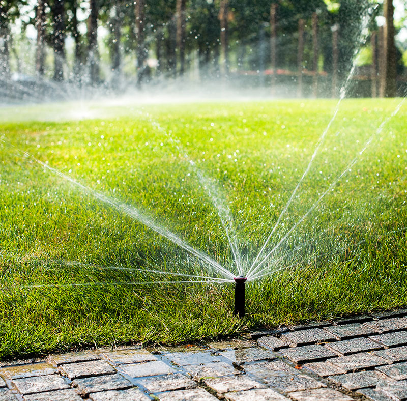 lawn-sprinklers