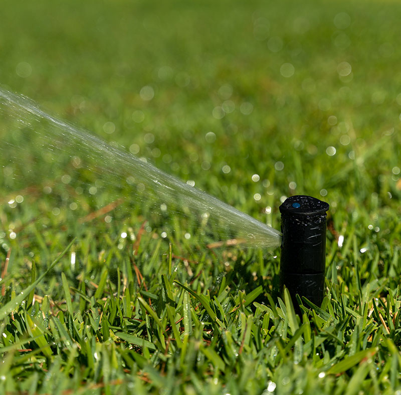 lawn-sprinklers